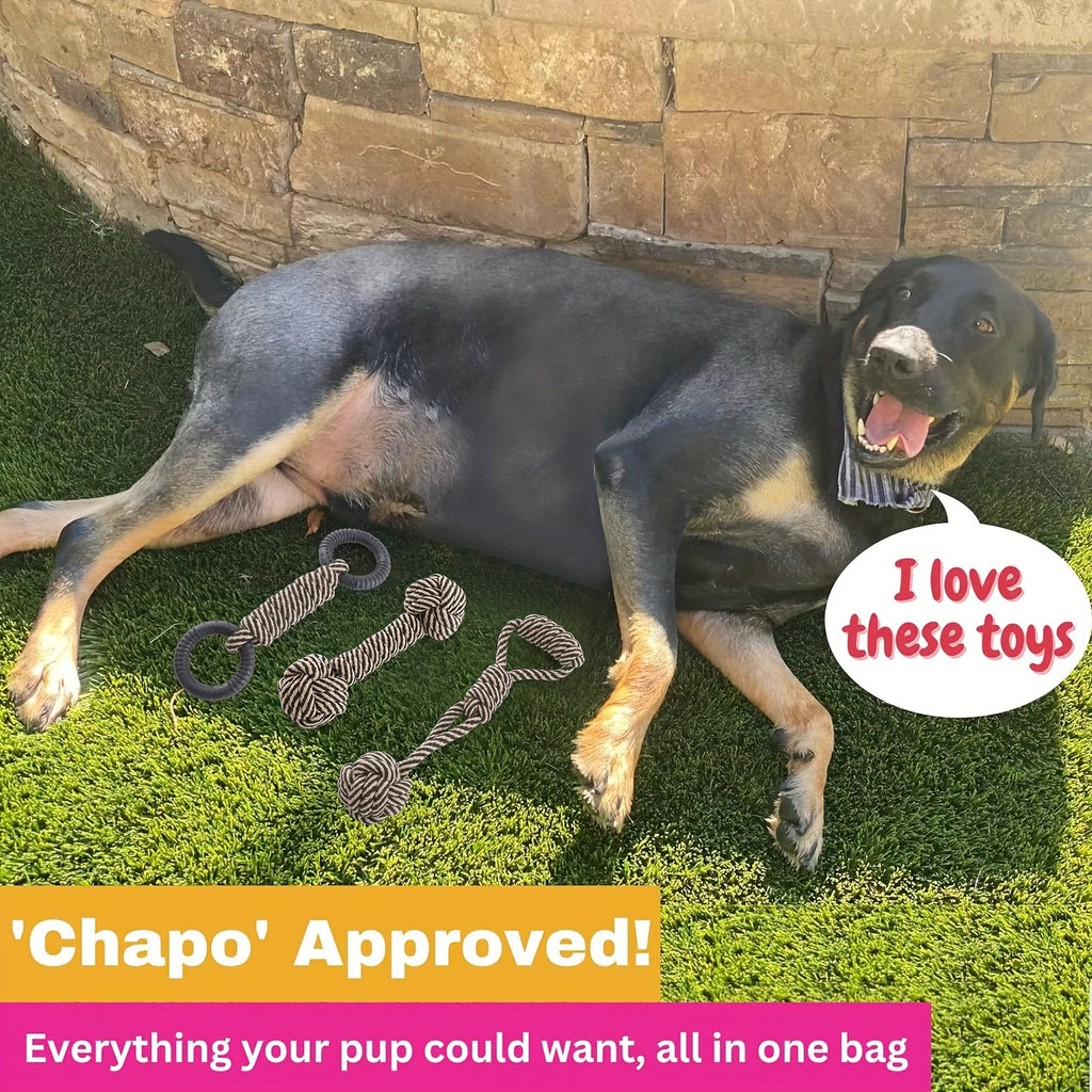 Pet 6-Pack Puppy Chew Toys