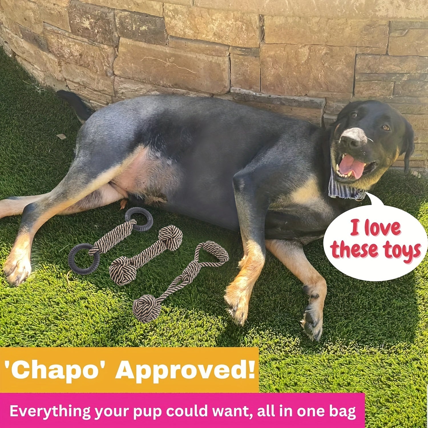 Pet 6-Pack Puppy Chew Toys