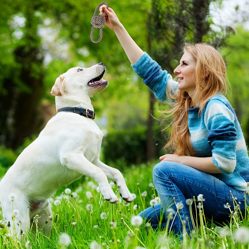 Pet 6-Pack Puppy Chew Toys