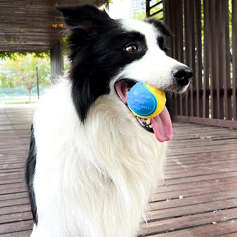Dogs squeaky Ball Toy